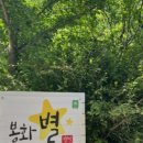 봉화별 후기 모음 (블로그)