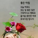 "홍하사의 잡다한 이야기"---(1576) "건강 이야기"---(370) (책읽는 노인과 걷는 노인) &amp; (건강 상식) 이미지