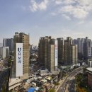 파인힐 서울경제