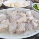 은희상회 - 제주시 성화로 31 | 은희상회