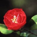 주의동산교회 이미지