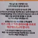 춘천남이섬애견가족전원마을펜션 네이버블로그