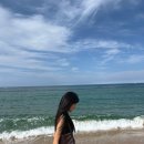 머슬팜짐 - 양천구 신월로 376 | Gangneung