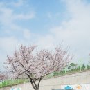말매못근린공원 네이버블로그