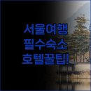 명동파크 | 명동 동대문 서울 여행 필수템 호텔 스카이파크 솔직 후기