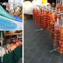 단양농업협동조합(농산물판매) 이미지