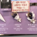 스노우폭스플라워건대