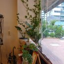 커트와파마(오전) 이미지