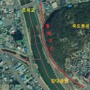 장대공원 노컷뉴스
