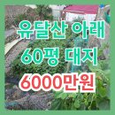 주거지역 목포 유달산 토지매매(매물번호 2809) 이미지