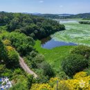 도천면사무소 | [경상남도 창녕군] 장척호와 번개늪