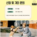 하이퍼피 이미지