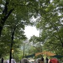 참나무숲오토캠핑장 이미지