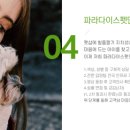 펫 파라다이스 동물병원 이미지