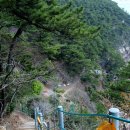 암남공원로 이미지