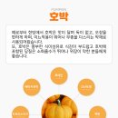 미브이 이미지