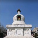 하한의원 | 월정사 9층 석탑의 建塔시기 연구