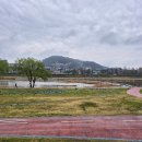 신신농장 네이버블로그
