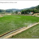 이하복농가 이미지