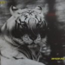 김현중농장 이미지