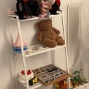 강남애견백화점 | 둔산동] 📸셀프사진관 오디티모드 대전점 상세후기🖤｜애견동반가능한 대전 셀프사진관｜ 인생네컷대신...