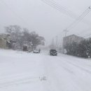 솔섬마을 관광펜션 이미지