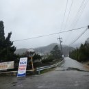 개화2리마을회관 | 강화도 고려산 진달래축제 기간 등산코스 개화 현황 (feat. 비오는날 진달래 꽃구경 망한 후기)