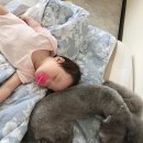 문현관앞 이미지