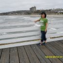 USA 9 ~~~San Diego with Su (Pacific Beach & Balmoa Park) 모래가 넘 부드러워여.. 이미지