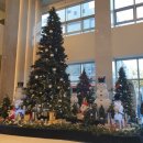 세븐일레븐(강릉대림점) | [강릉호텔] 세인트존스 :: 겨울 강릉여행 2박3일, 세인트존스 체크인 팁과 솔직리뷰