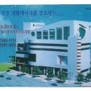 영스포렉스 이미지