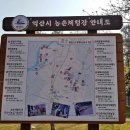 영등시민공원 축구장 이미지