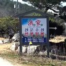 홍가네홍어무침