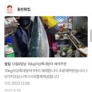 옥교온누리약국 | [울산/성남동] 중구 회식추천 친절한 동네횟집 동천횟집 강추후기 ( 대방어 내돈내산 )