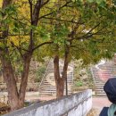 용마산입구 | 단풍이 예쁜 가을 용마산 등산 후기🍁 친구와 함께 걷기 좋은 코스