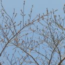 남산정요양병원 이미지