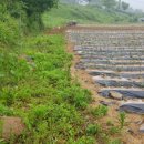 함박골농장 이미지