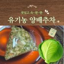SAFECARE(세이프케어) | [제품정보] 산후조리 속부종 관리템, 세이프케어 유기농 양배추차 티백 후기