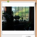 옹달샘꽃누름마을 이미지