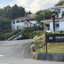 썬트리팜카페 | 거제 수국 명소 썬트리팜 실시간 수국 현황