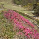 입점리고분전시관 이미지