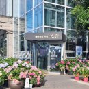 용암동 공간카페 RE:26.7.1 청주 찾아갈곳 이미지