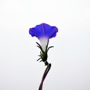 새벽을여는사람들