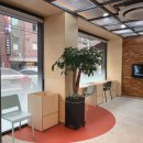 무안종합동물병원 이미지