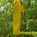 도진(박달2리) 이미지