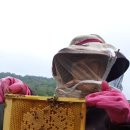 불태산농장 이미지