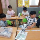송정중앙초등학교 Daum카페