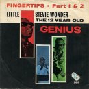 44번째 뮤지션 - 스티비 원더(Stevie Wonder) 이미지