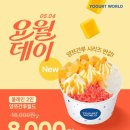 요거트월드 - 성북구 동소문로26길 21 | 요거트월드