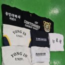 용인대백호체육관 이미지